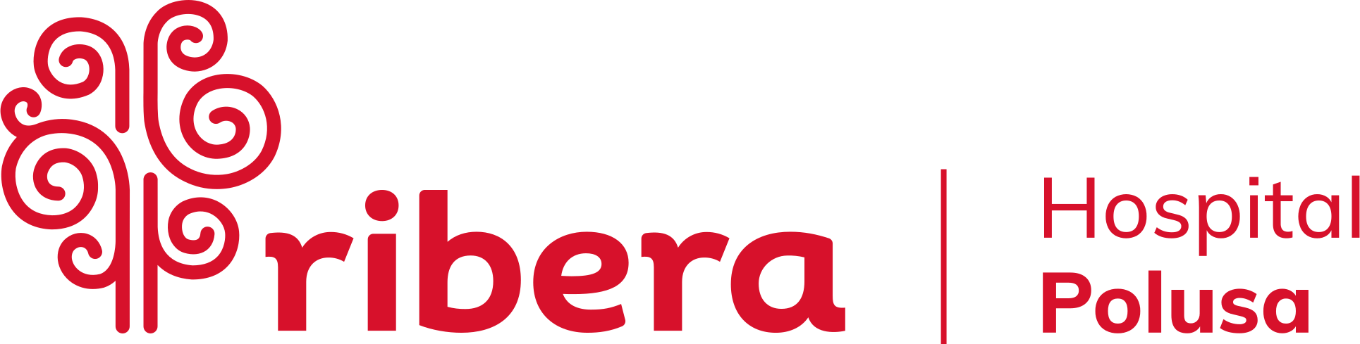 Ribera hospital polusa